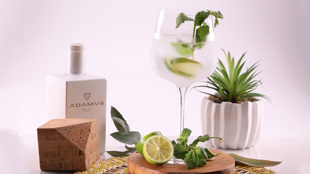 Gin Tonic with Lime and Mint